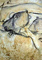 La Grotte Chauvet