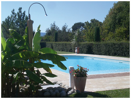 Piscine dans le jardin