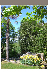 Jardin Moulin de Courlas